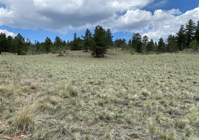 Homes for sale in Jefferson, CO | 0 Tbd Al Gulch Rd, Jefferson, CO 80456 | MLS# 9313649