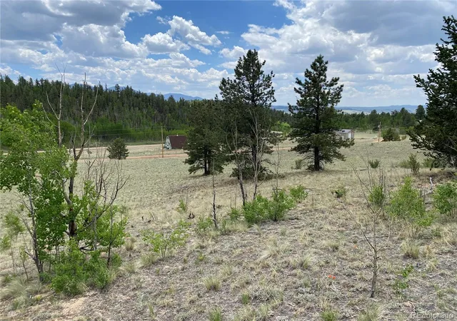 Homes for sale in Jefferson, CO | 0 Tbd Al Gulch Rd, Jefferson, CO 80456 | MLS# 9313649