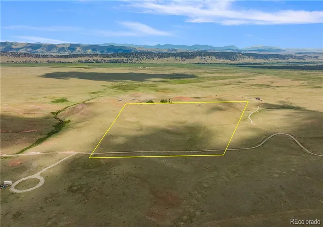 Homes for sale in Fairplay, CO | 1760 Meier Ridge Trl, Fairplay, CO 80440 | MLS# 1647899