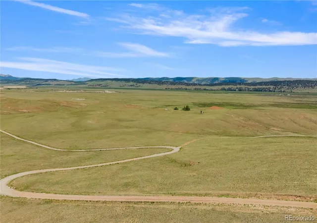 Homes for sale in Fairplay, CO | 1760 Meier Ridge Trl, Fairplay, CO 80440 | MLS# 1647899