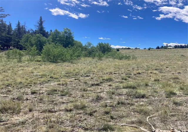 Photo 19 of Land for sale at 098 Wabeno Ct, Como, CO 80432 | MLS# 5983547 | Listing updated on 2026-07-31
