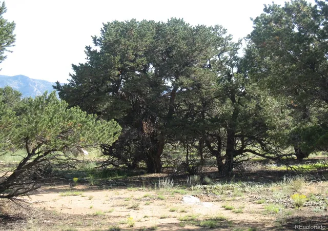 Photo 5 of Land for sale at 30036 Teal Run, Buena Vista, CO 81211 | MLS# 8188439 | Listing updated on 2026-02-24