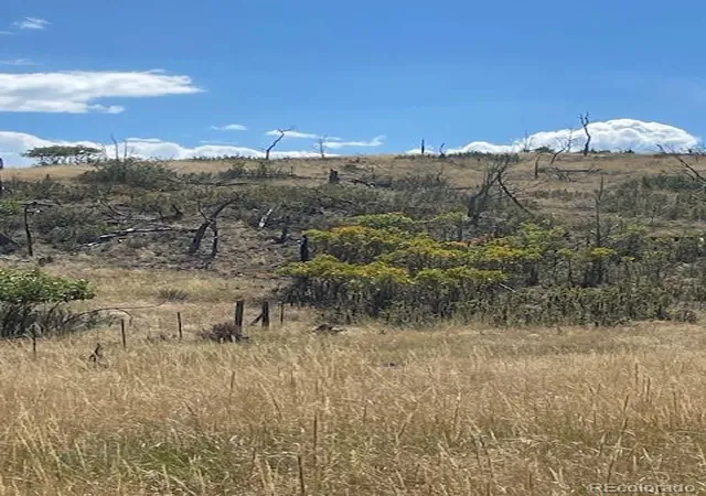 Photo 2 of Land for sale at 1971 County Rd 27a, Cotopaxi, CO 81223 | MLS# 2739199 | Listing updated on 2026-09-02