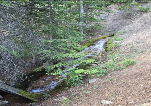 3rd image of Democrat Mountain Claims, Georgetown, CO 80444 | MLS# 2602016