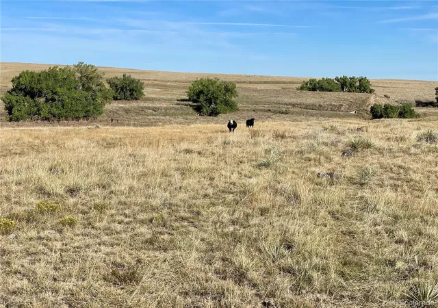 Photo 3 of Land for sale at County Rd 109, Deer Trail, CO 80105 | MLS# 6998870 | Listing updated on 2026-09-21