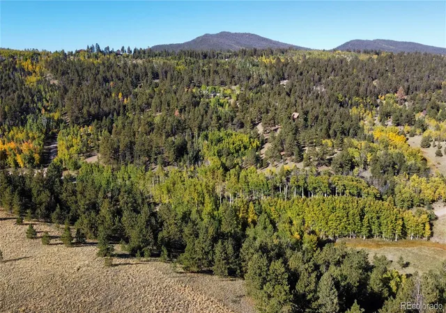 Homes for sale in Hartsel, CO | 539 Tapedero Rd, Hartsel, CO 80449 | MLS# 7221227