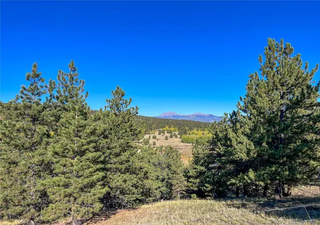 Homes for sale in Hartsel, CO | 539 Tapedero Rd, Hartsel, CO 80449 | MLS# 7221227