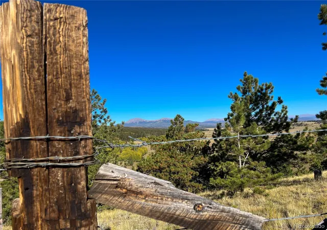 Homes for sale in Hartsel, CO | 539 Tapedero Rd, Hartsel, CO 80449 | MLS# 7221227