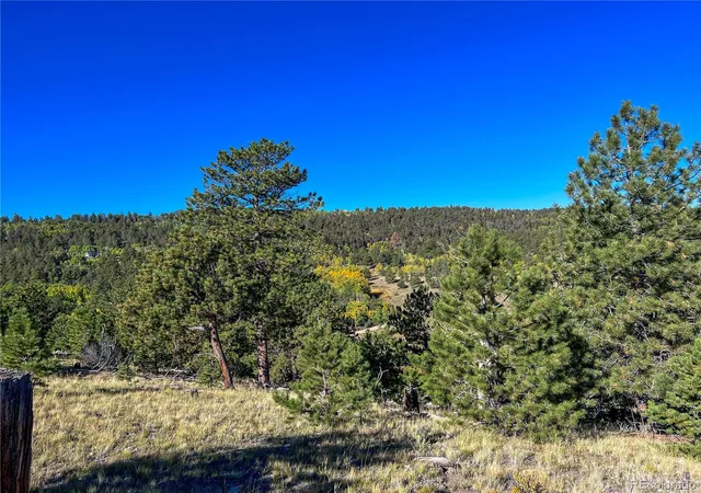 Homes for sale in Hartsel, CO | 539 Tapedero Rd, Hartsel, CO 80449 | MLS# 7221227