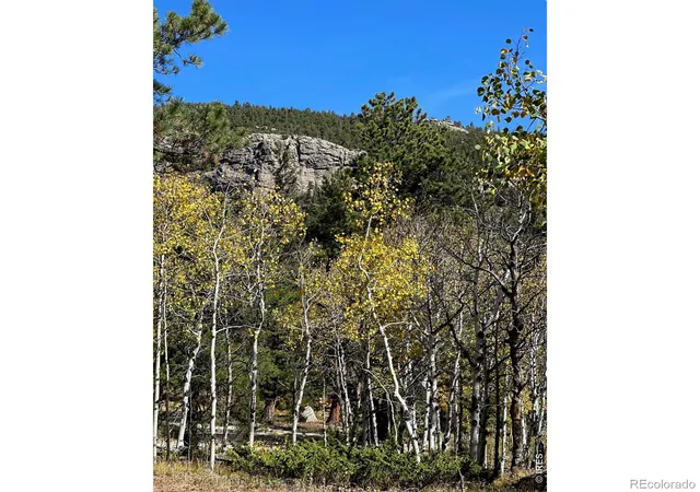 Photo 1 of Land for sale at 246 Tahosa Park S Rd, Allenspark, CO 80510 | MLS# IR1022596 | Listing updated on 2026-09-06