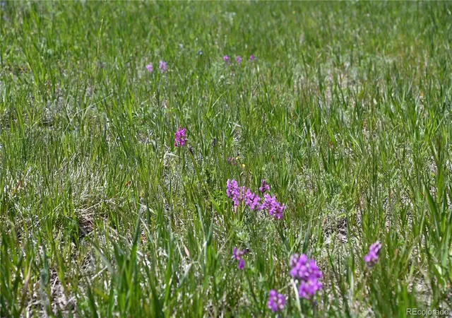 Photo 3 of Land for sale at 30523 Mountain View Trl, Kiowa, CO 80117 | MLS# 7109726 | Listing updated on 2026-10-22