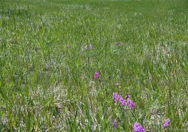 Photo 4 of Land for sale at 30523 Mountain View Trl, Kiowa, CO 80117 | MLS# 7109726 | Listing updated on 2026-10-22