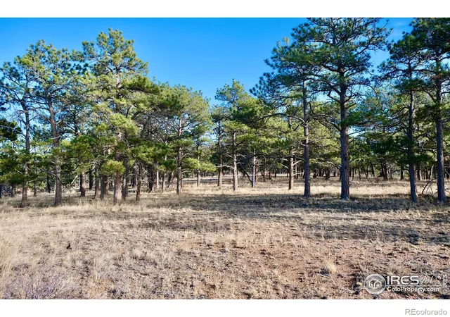 Photo 1 of Sale Pending at 0 Walno Ave, Livermore, CO 80536 | MLS# IR1022785 | Listing updated on 2026-10-08
