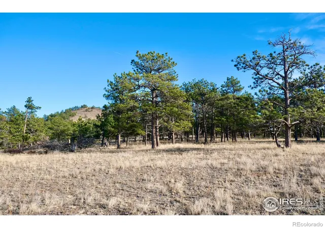 Photo 3 of Sale Pending at 0 Walno Ave, Livermore, CO 80536 | MLS# IR1022785 | Listing updated on 2026-10-08