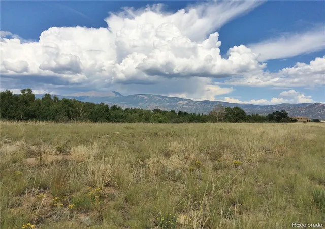 Homes for sale in Buena Vista, CO | 17520 County Road 306, Buena Vista, CO 81211 | MLS# 7827713