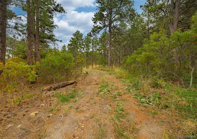 Photo 3 of Land for sale at 14420 S Perry Park Rd, Larkspur, CO 80118 | MLS# 9335135 | Listing updated on 2026-09-04