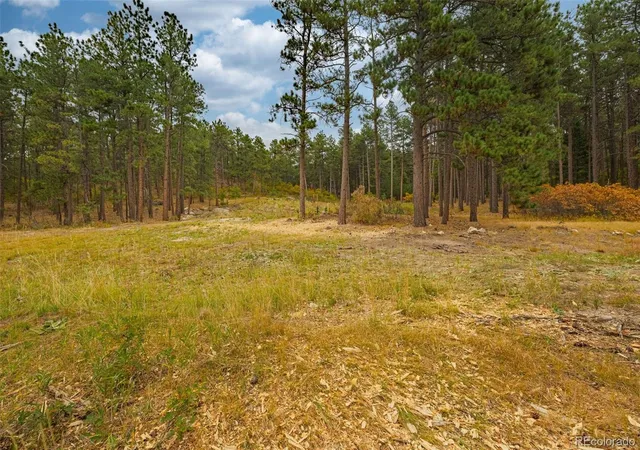 Photo 4 of Land for sale at 14420 S Perry Park Rd, Larkspur, CO 80118 | MLS# 9335135 | Listing updated on 2026-09-04