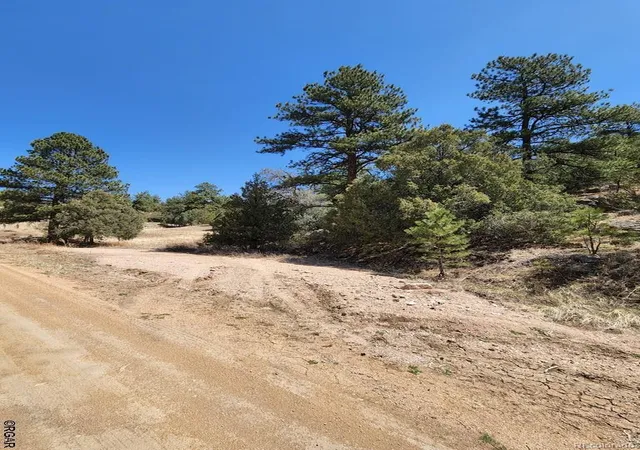 3rd image of 1314 Arnold Dr, Cotopaxi, CO 81223 | MLS# 2447203