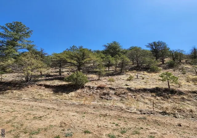 4th image of 1314 Arnold Dr, Cotopaxi, CO 81223 | MLS# 2447203