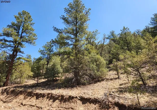 5th image of 1314 Arnold Dr, Cotopaxi, CO 81223 | MLS# 2447203