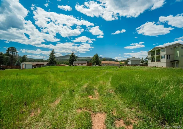 4th image of Baldwin St, Woodland Park, CO 80863 | MLS# 7969394