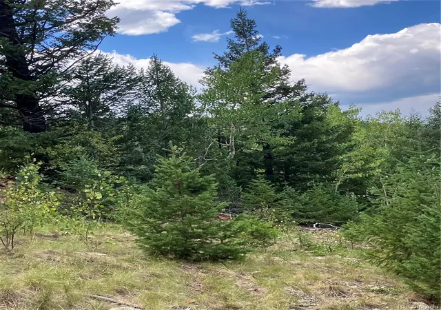 Photo 4 of Land for sale at 7 Miners Rd, Black Hawk, CO 80422 | MLS# 9861304 | Listing updated on 2026-09-23