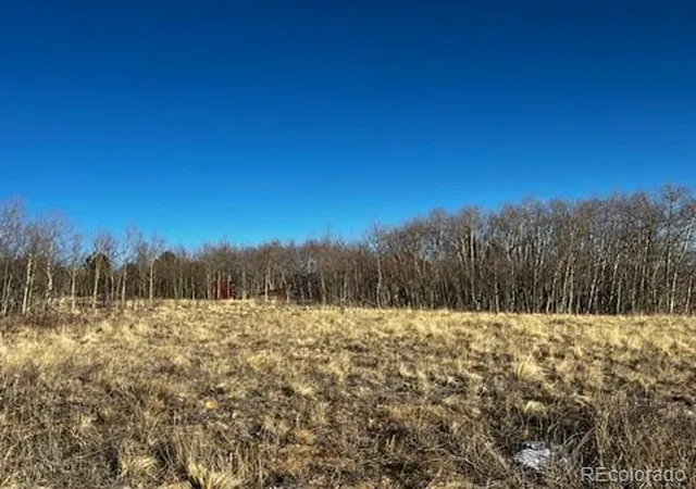 Homes for sale in Fairplay, CO | 3538 High Creek Rd, Fairplay, CO 80440 | MLS# 2026393