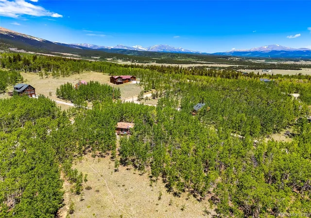 Homes for sale in Fairplay, CO | 2436 High Creek Rd, Fairplay, CO 80440 | MLS# 5651511