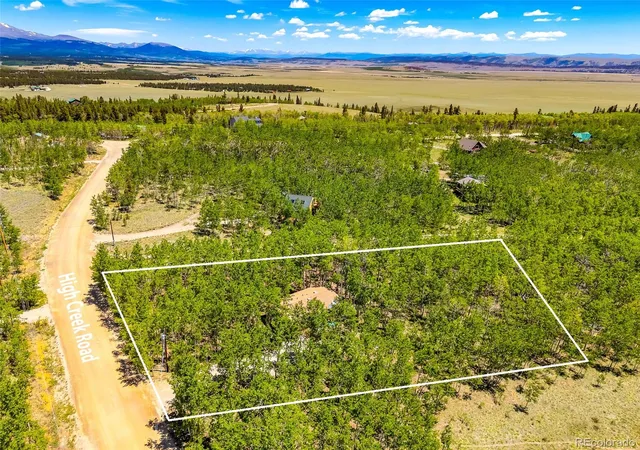 Homes for sale in Fairplay, CO | 2436 High Creek Rd, Fairplay, CO 80440 | MLS# 5651511