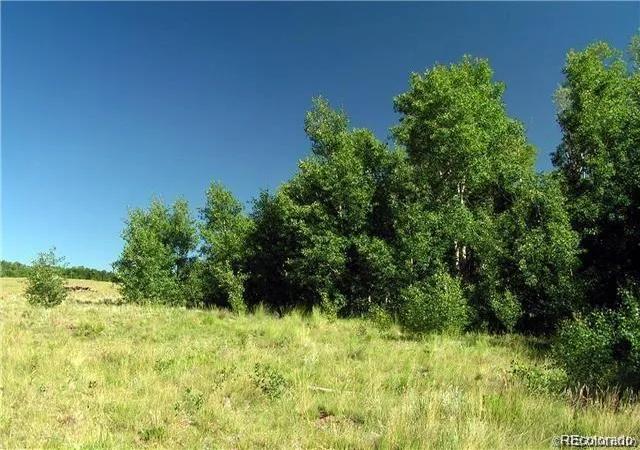Photo 2 of Land for sale at Foxtail Ct, Fairplay, CO 80440 | MLS# 1607939 | Listing updated on 2026-03-05