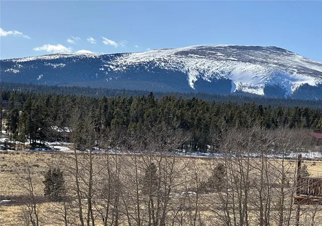 Photo 3 of Land for sale at Foxtail Ct, Fairplay, CO 80440 | MLS# 1607939 | Listing updated on 2026-03-05