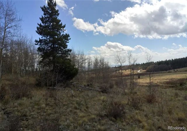 Photo 5 of Land for sale at Foxtail Ct, Fairplay, CO 80440 | MLS# 1607939 | Listing updated on 2026-03-05
