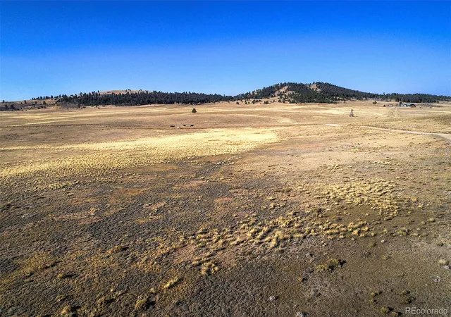Homes for sale in Hartsel, CO | 9128A Elkhorn Rd, Hartsel, CO 80449 | MLS# 8484563