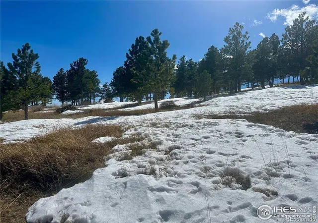 4th image of 783 Dixon Rd, Boulder, CO 80302 | MLS# IR1029654