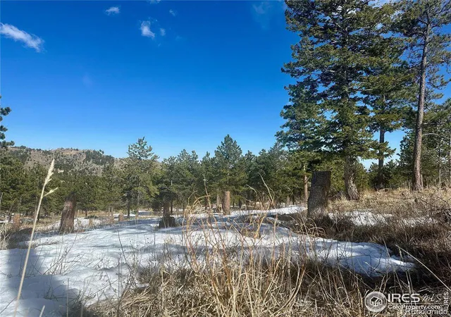 5th image of 783 Dixon Rd, Boulder, CO 80302 | MLS# IR1029654