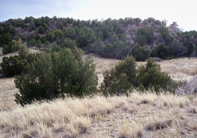 Homes for sale in Pueblo, CO | Lot 2 Red Creek Springs Rd, Pueblo, CO 81005 | MLS# 2798409