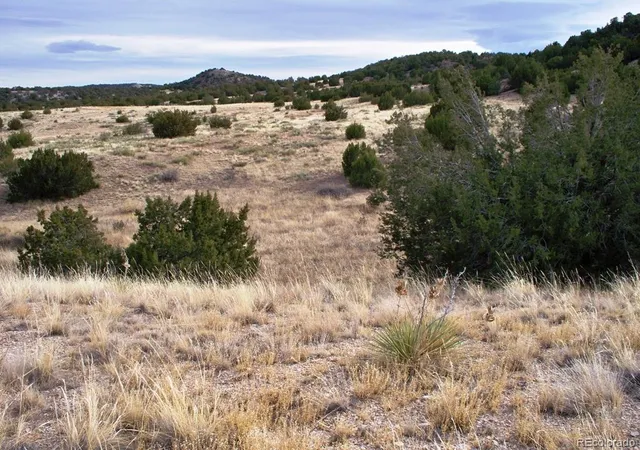 Homes for sale in Pueblo, CO | Lot 2 Red Creek Springs Rd, Pueblo, CO 81005 | MLS# 2798409