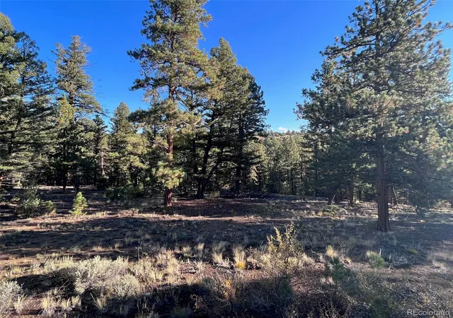 11th image of 14710 Quartz Cir, Salida, CO 81201 | MLS# 6813446