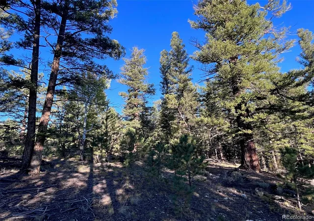 5th image of 14710 Quartz Cir, Salida, CO 81201 | MLS# 6813446
