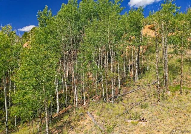 Homes for sale in Cripple Creek, CO | 1300 Golden Cycle Cir, Cripple Creek, CO 80813 | MLS# 8194640