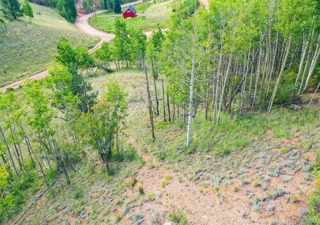 Homes for sale in Cripple Creek, CO | 1300 Golden Cycle Cir, Cripple Creek, CO 80813 | MLS# 8194640