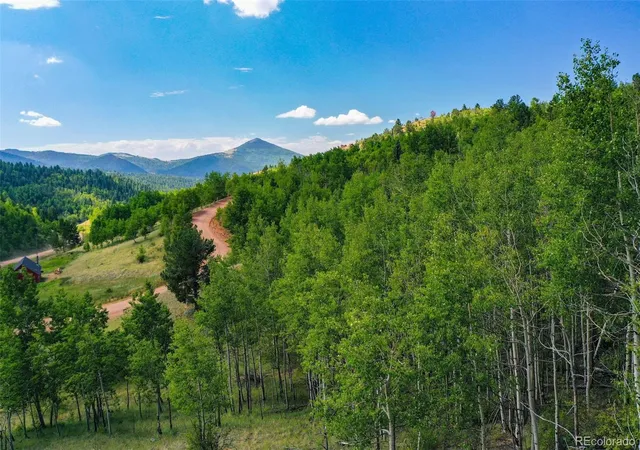 Homes for sale in Cripple Creek, CO | 1300 Golden Cycle Cir, Cripple Creek, CO 80813 | MLS# 8194640