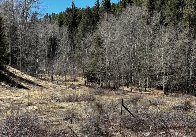 Photo 5 of Land for sale at Lot 223 Highway 160, Fort Garland, CO 81133 | MLS# 4219291 | Listing updated on 2026-08-27