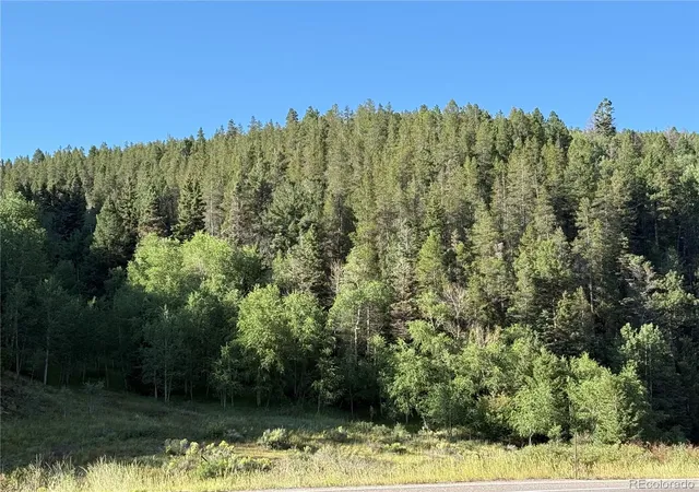 Photo 2 of Land for sale at Lot 223 Highway 160, Fort Garland, CO 81133 | MLS# 4219291 | Listing updated on 2026-08-27