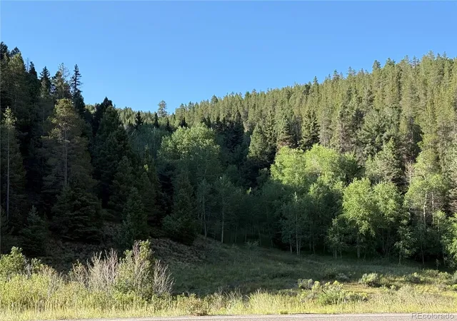 Photo 3 of Land for sale at Lot 223 Highway 160, Fort Garland, CO 81133 | MLS# 4219291 | Listing updated on 2026-08-27