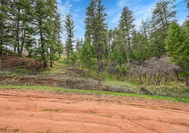Homes for sale in Larkspur, CO | 8093 Acoma Dr, Larkspur, CO 80118 | MLS# 2932287