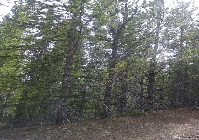 Photo 3 of Land for sale at Lot #440 Hillside Rd, Idaho Springs, CO 80452 | MLS# 3011768 | Listing updated on 2026-04-15