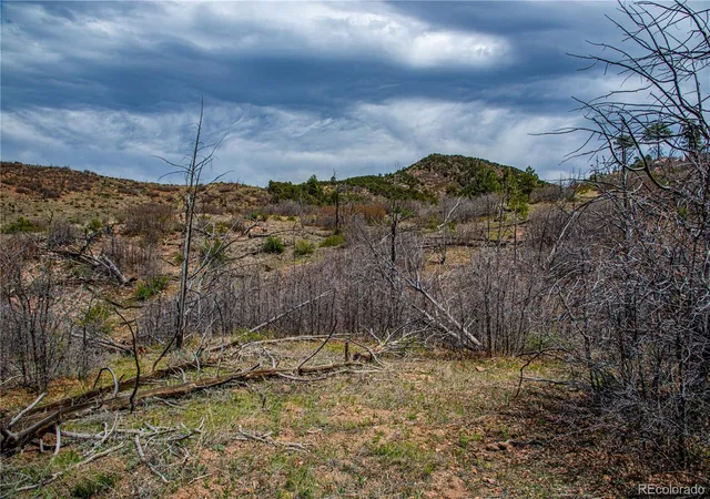 3rd image of 221 Cottonwood Dr, Cotopaxi, CO 81223 | MLS# 6752916