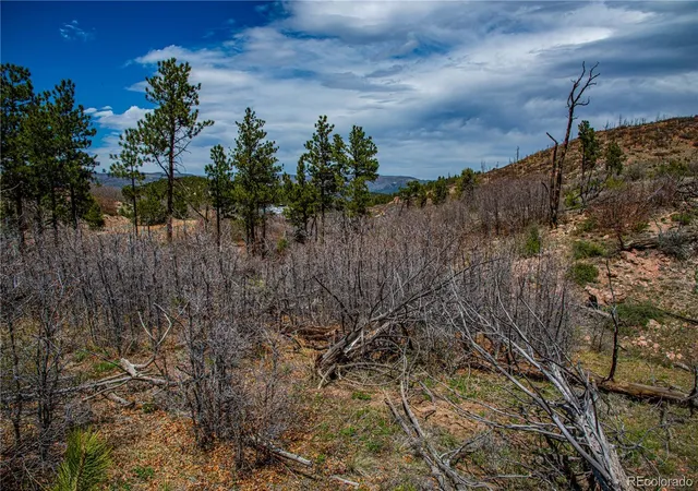 4th image of 221 Cottonwood Dr, Cotopaxi, CO 81223 | MLS# 6752916