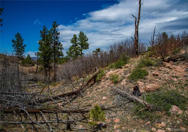 5th image of 221 Cottonwood Dr, Cotopaxi, CO 81223 | MLS# 6752916
